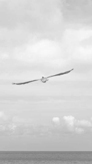 91吃瓜在线截图1